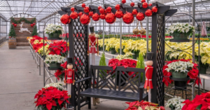 Plants With White Flowers: 5 Stunning Choices for Your Garden